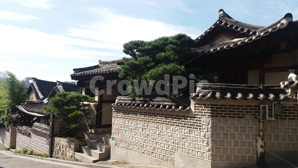 한옥,기와,돌담,북촌,소나무,하늘,처마,hanok,rooftile,stonewall,bukchon,pinetree