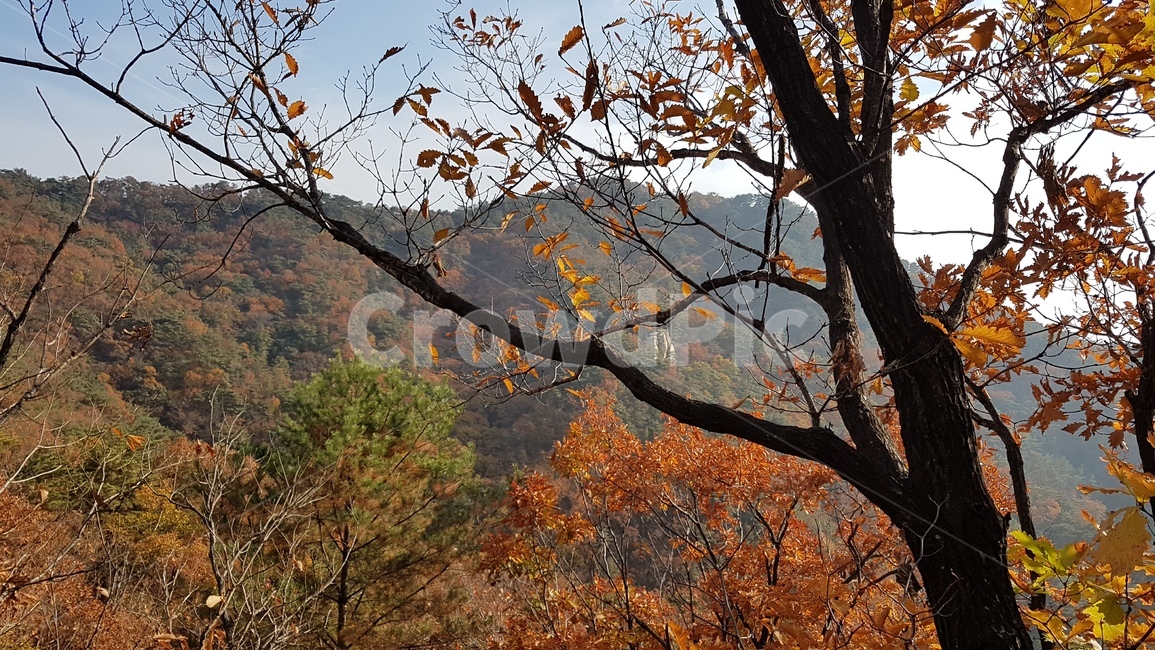 불암산,산,자연,풍경,가을,단풍,buramsan,mountain,nature,landscape,autumncolors,가을,계절,fall,autumn,season