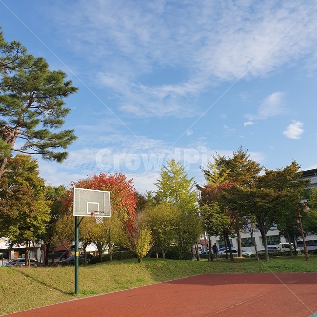 sports,스포츠,농구,basketballcourt,가을,하늘,자연