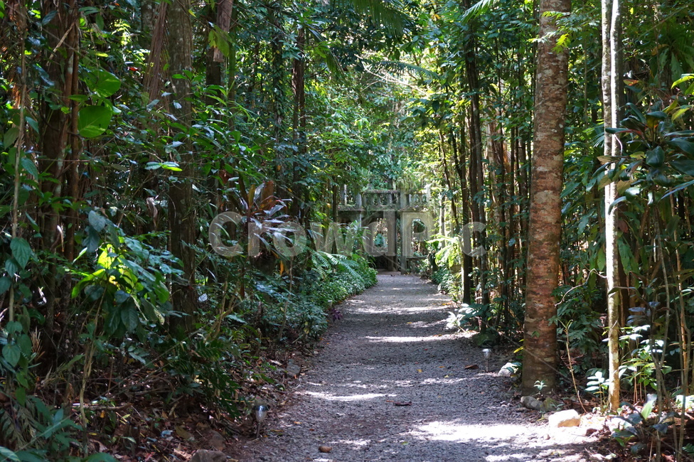 호주,케언즈,케언스,cairns,australia,paronellapark,파로넬라파크,숲,outdoors,옥외,garden,정원,arbour,정자
