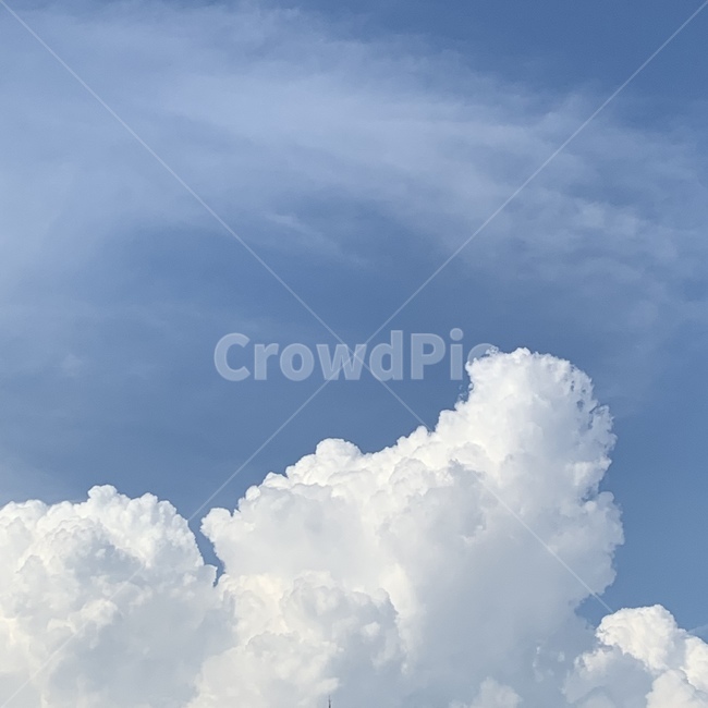 nature,자연,outdoors,옥외,sky,하늘,cloud,구름,weather,날씨,푸른하늘,파란색,하얀색,blue,white,길거리