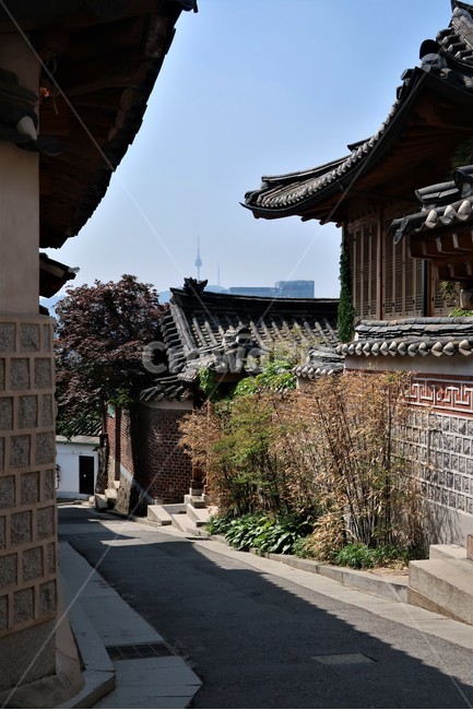 전통,빈티지,한옥,북촌,서울,한국,대한민국,집,디자인,창문,건축,건축물,문화,스타일,목재,주택,기와,지붕,처마,돌담,고풍,보존,보호,전통미,가옥,골목,화단,풍경,도시,풍경,city,landscape,한국도시풍경,한국도시경관,korea cityscape,골목길,alley,한국전통,한국문화,korean traditional,korean culture,architecture,building,건물