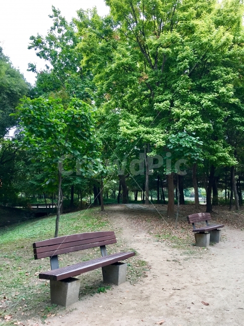 휴식,서울숲,벤치,힐링,자연,나무,초록,여유,공원,자연,풍경,nature,landscape,식물,plants,나무,trees,wood,휴식,힐링,rest,relaxation,healing