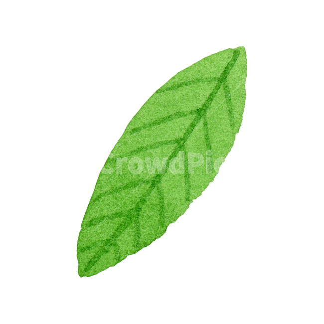 잎,나뭇잎,수채화,초록,자연,아이콘,귀여운,손그림,일러스트,green,leaf,nature,illustration,watercolor,icon,봄,여름,plant,식물,식물,자연,plants,nature,누끼,remove background