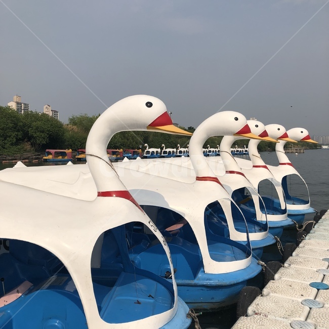 서울,한강,오리배,데이트코스,오리