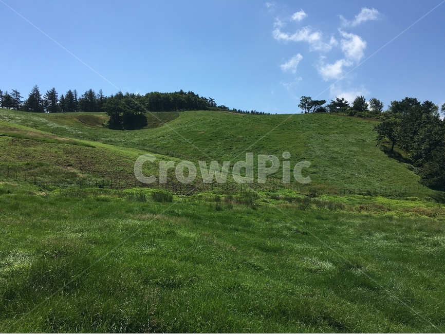 초원,여름,하늘,목장,구름,자연,풍경,nature,landscape,field,들,grassland,목초지,outdoors,옥외