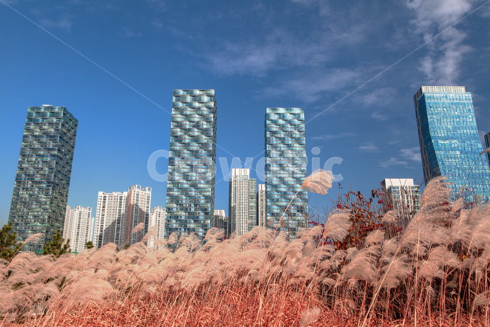 풍경,도시,하늘,건축물,빌딩,공원,도심,고층,고층빌딩,아파트,송도,계획도시,신도시,센트럴파크,타운,옥외,야외,주택,송도신도시,푸른하늘,구름,건물,town,building,고층건물,bluesky,park,센트럴파크,centralpark,highrise,city,urban,downtown,갈대