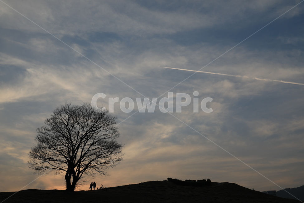 노을,연인,해넘이,붉은노을,나무,나홀로나무,자연,풍경,nature,landscape,실루엣,그림자,silhouette,shadow,tree,plant,식물