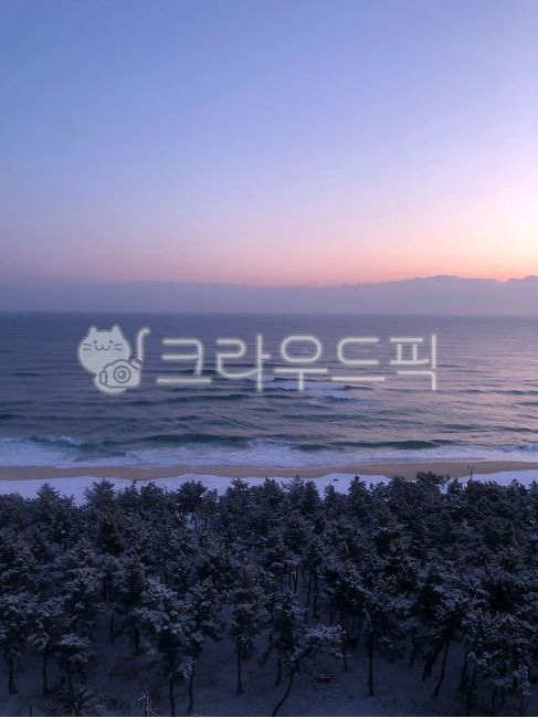 tide,tree,winter,winter sea,sun,sea,mystery,ocean,sunset,plant,purple,Sunrise,serene