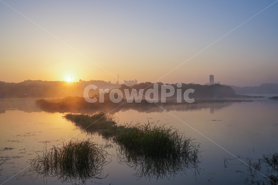 호수,저수지,새벽,안개,풍경,자연,반영,투영,자연,풍경,nature,landscape,한국자연풍경,한국자연경관,korea nature landscape,flare,플레어,light,빛,outdoors,옥외