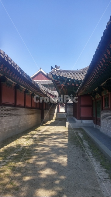 창경궁,기와,고궁,지붕,한옥,roof,건물,temple,한국전통,한국문화,korean traditional,korean culture