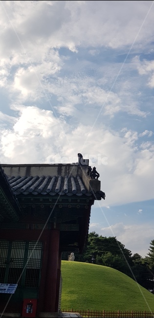 기와,한국의미,가을,릉,전통건축,한국전통,한국문화,korean traditional,korean culture