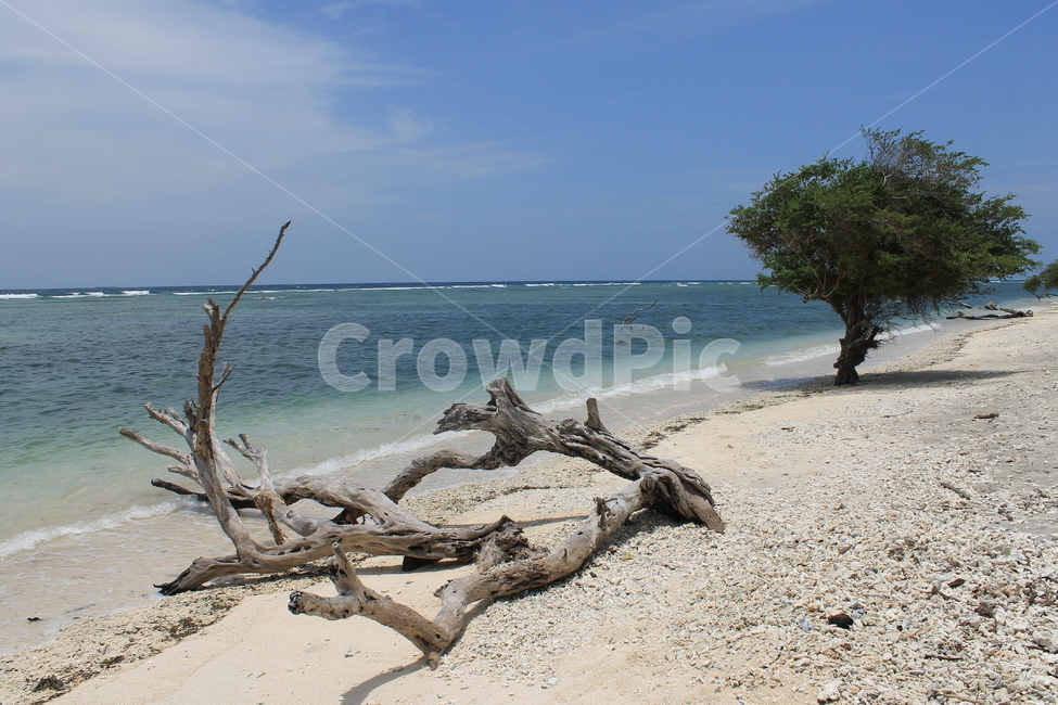 인도네시아,길리,해변,indonesia,gili,beach,나무해변,beachandtrees,vacation,고즈넉