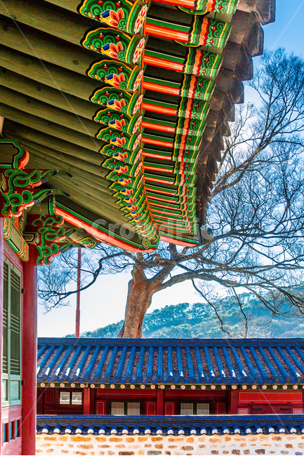 단청,선,패턴,고궁,문화유산,한국의미,한국전통,한국문화,korean traditional,korean culture,건축물,건물외관,exterior,building,structure,architecture,construction