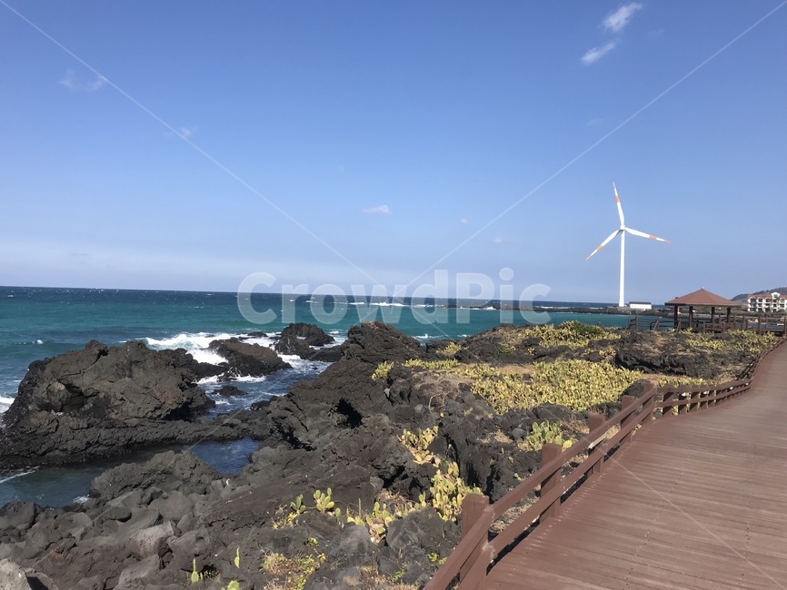 제주도,백년초군락,풍차,바닷가,산책길,제주도백년초군락,현무암,바닷가산책,자연,풍경,nature,landscape,한국자연풍경,한국자연경관,korea nature landscape,제주도,jeju,jeju island,machine,기계,engine,엔진,motor,모터