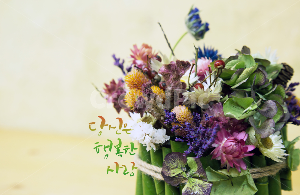 드라이플라워,수국,맨드라미,캘리그래피,당신은행복한사람,식물,자연,plants,nature,꽃,flower,실내용화초,화분,화초,house plant,캘리그라피,손글씨,calligraphy