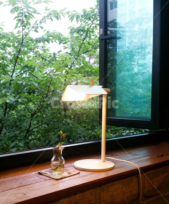 나무,풍경,창문,비,감성,분위기,비오는날,인테리어,실내디자인,interior design