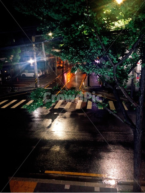 비오는날,아스팔트,road,도로,풍경,거리,밤풍경