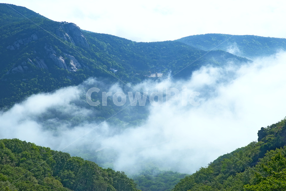 황매산,합천군,철쭉,풍경,산,자연,풍경,nature,landscape,한국자연풍경,한국자연경관,korea nature landscape,outdoors,옥외,mountain range,산맥,mountain,slope,경사