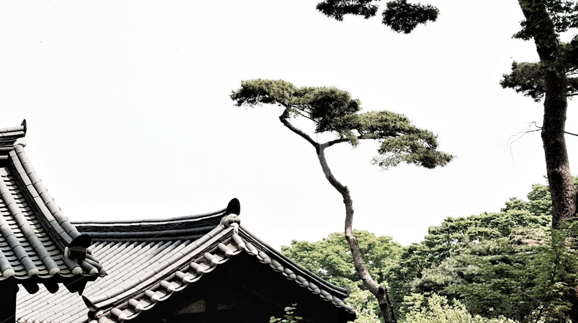 한국적인,한국전통,한국문화,건물외관,koreantraditional,koreanculture,building,structure,architecture,절,사찰,한국,한옥,문,문화재,한국적,감성,조각,예술,창문,처마,기와,솔,소나무,하늘,초록,기와집,건축물,한국전통,한국문화,korean traditional,korean culture,건축물,건물외관,exterior,building,structure,architecture,construction