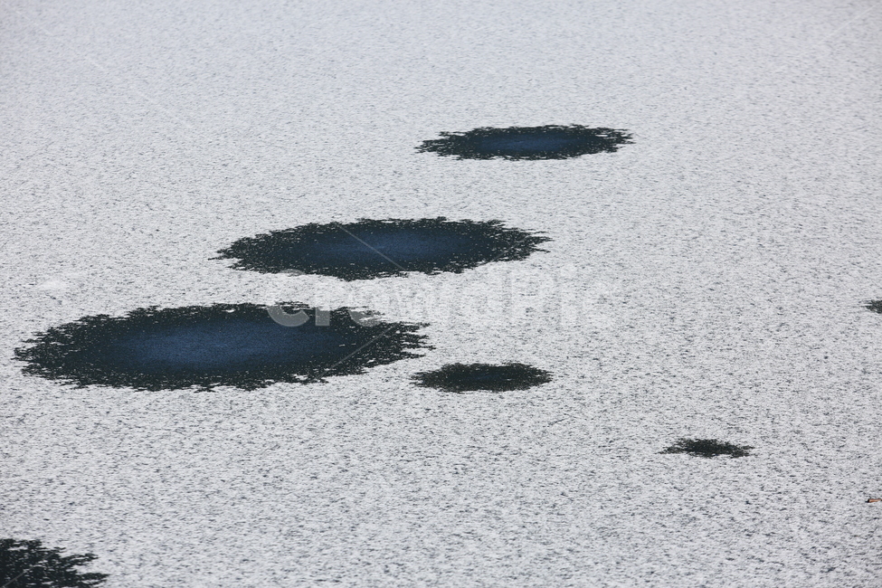 겨울,원,호수,눈,발자욱,겨울,계절,winter,season,자연,풍경,nature,landscape