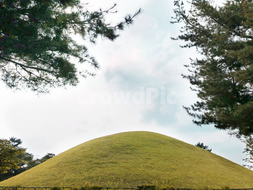 대릉원,경주,고분,신라,무덤,경주대릉원