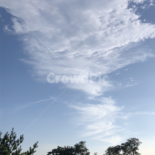 하늘,구름,자연,감성,뭉실뭉실,sky