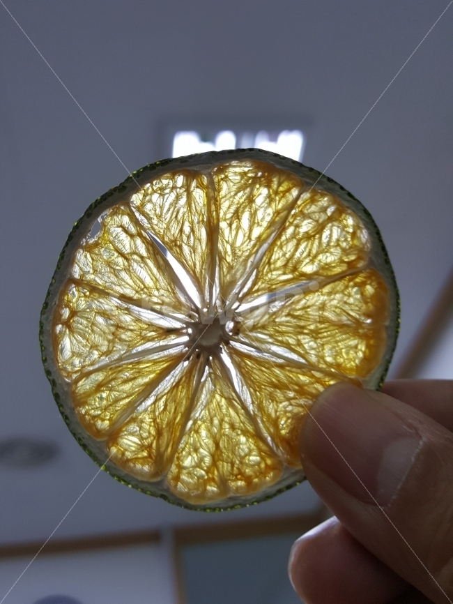 과일,역광,투명,오렌지말린것,오렌지,사람,인물,인간,human,person,신체일부,몸,body,음식,식재료,요리,food,cook,meal,dishes,food reserves,과일,열매,fruit