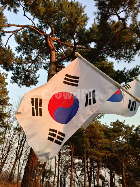 태극기,삼일절,국기,광복절,깃발,대한민국