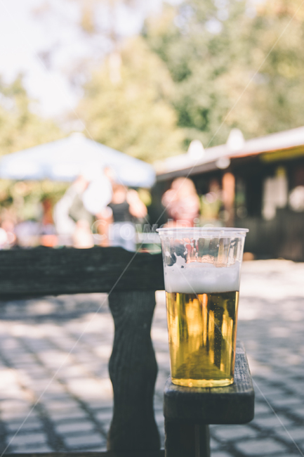 맥주,의자,beer,chair,술한잔,술,주류,alcohol
