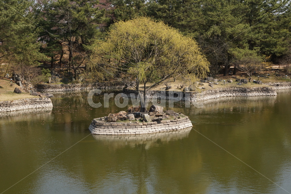 안압지,anapji,물,water,nature,자연,나무,tree