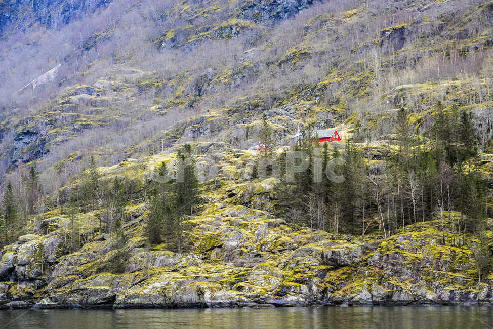 Glacier,nature,Overseas,foreign country,Foreign natural scenery,Sognefjord,fiord,Overseas natural scenery,world,Norway,background,sight,world natural scenery,North Europe,europe,landscape