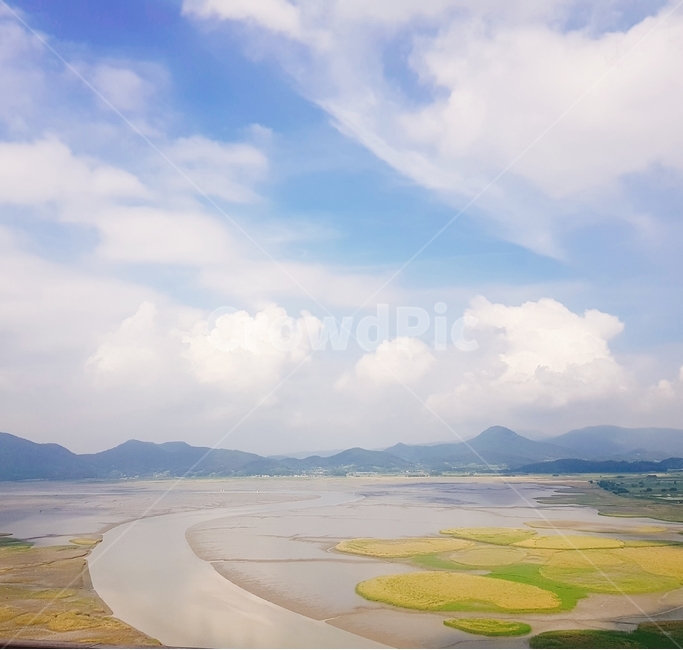 전라남도,순천,순천만,순천만습지,습지,세계5대연안습지,람사르습지,s곡류,suncheonbay,순천만생태습지,하늘,구름,파란하늘,여름,여름하늘,용산전망대,칠면초