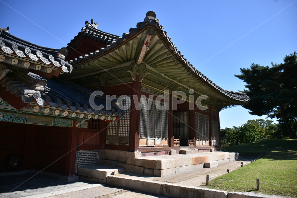 창경궁,한옥,창문,빗살,바탕화면