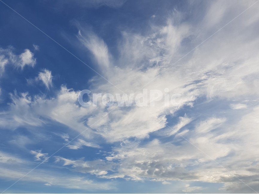 구름,하늘,권운,cirrus,cloud,상층운,azuresky,sky,푸른하늘,공허한하늘
