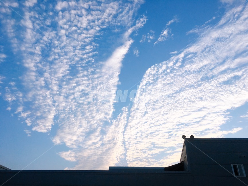 하늘,sky,주작,nature,몽환적인,푸른하늘,건물,자연,풍경,nature,landscape,outdoors,옥외