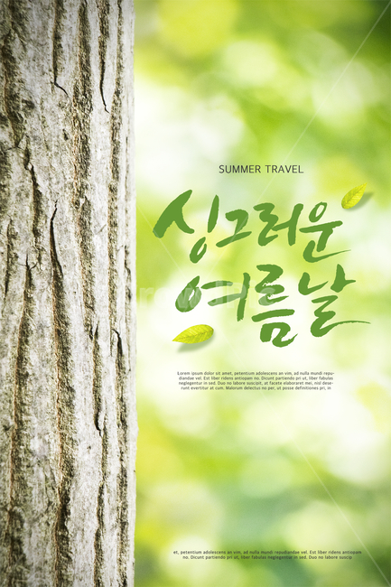 나무,여름,감성,캘리,캘리그라피,손글씨,붓글씨,힐링,표지,브로슈어,전단지,카달로그,여름,계절,summer,season,식물,자연,plants,nature,나무,trees,wood,캘리그라피,손글씨,calligraphy,tree,plant