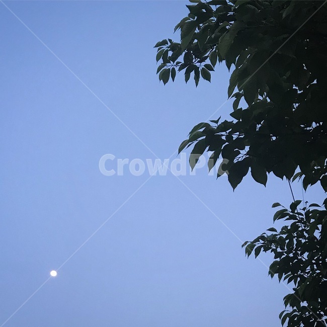 자연,nature,하늘,푸른하늘,sky