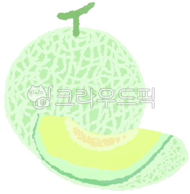 과일,여름과일,과일일러스트,여름과일일러스트,여름과일그림,여름과일종류,멜론,메론,멜론일러스트,메론일러스트,멜로단면,메론단면,fruit,summerfruit,fruitillustration,honeydewmelon,melonillustration,honeydewmelonillustration,summerfruitillustration,melon