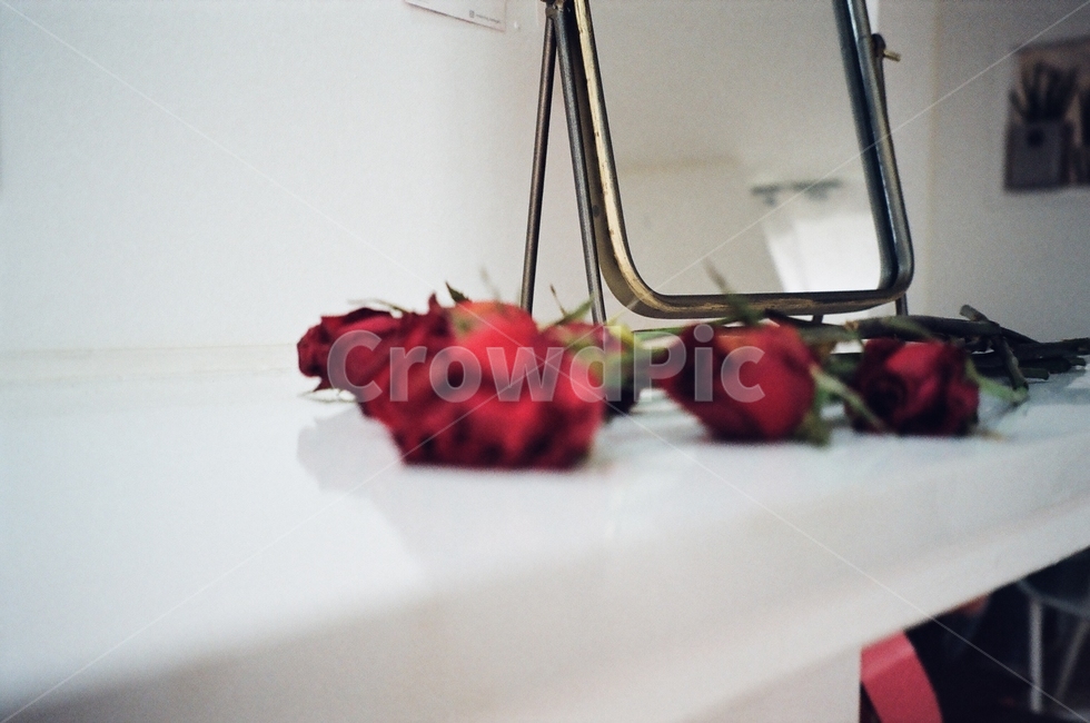 장미,거울,카페,인테리어,꽃,빨간색,빨강,소품,장식,꽃,flower