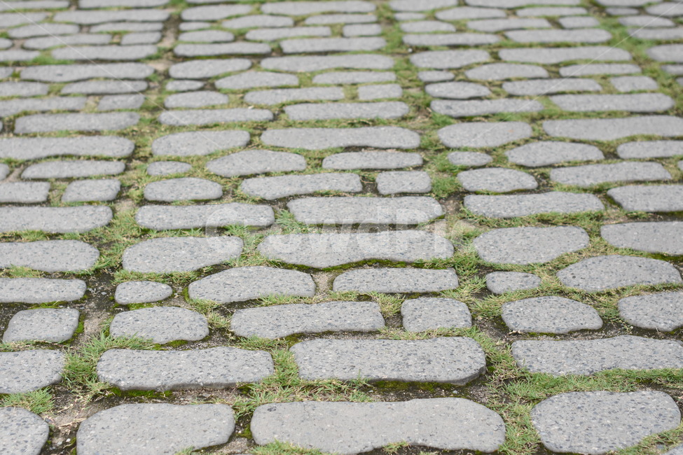 도보블럭,패턴,길,인도,잔디,sidewalkblock