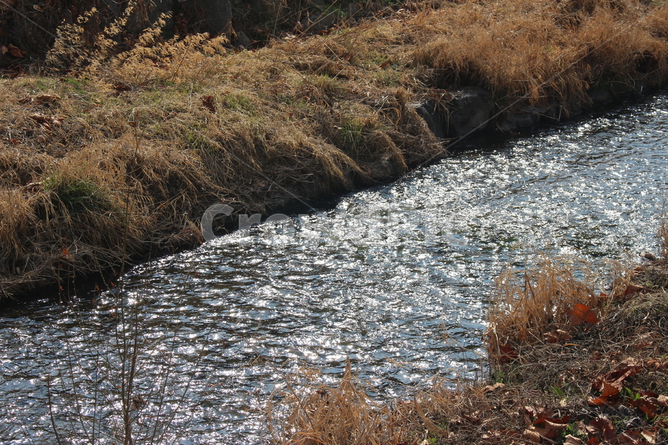 water,물,nature,자연,outdoors,옥외,도랑
