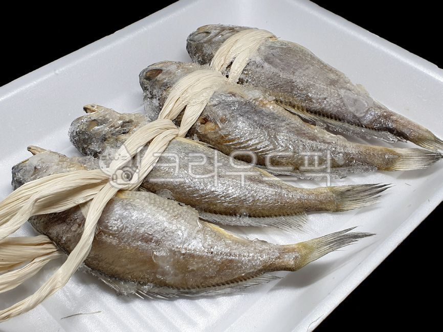 조기, 굴비, 물고기, 생선, fish, 사진,이미지,일러스트,캘리그라피 - 드래곤볼작가