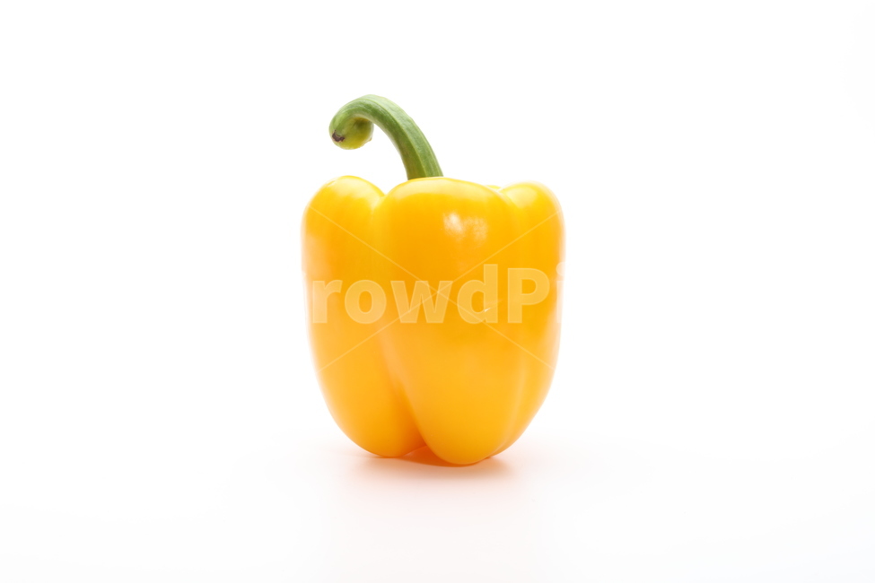 파프리카,채소,식재료,야채,노랑,음식,식재료,요리,food,cook,meal,dishes,food reserves,채소,야채,vegetables