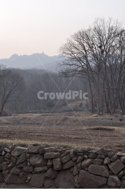 겨울,풍경,나무,자연,겨울풍경,자연,풍경,nature,landscape,outdoors,옥외