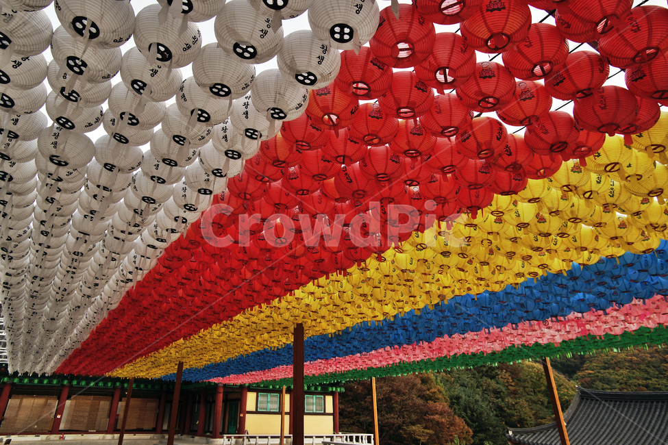청계사,사찰,불교사찰,의왕시,연등,부처님오신날,행사,한국전통,한국문화,korean traditional,korean culture,종교,신앙,religion,belief,faith