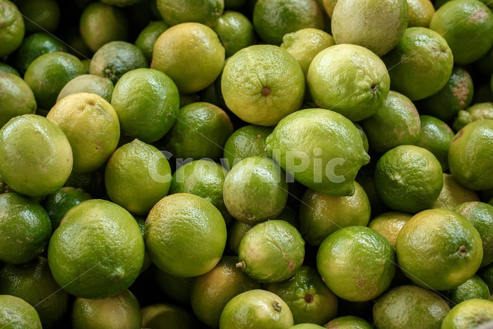 레몬,과일,시장,농작물,농산품,시트러스,상큼,market,harvest,열매,eco,citrus,fresh,시큼,sour,acid,과일,열매,fruit