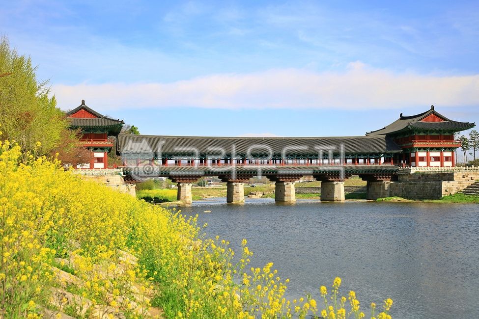 ancient times,Woljeong Bridge,stream,rape flowers,bridge,water,Korean meaning,Korean tradition,Gyeongju,architecture
