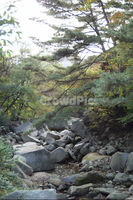계곡,바위,숲,나무,자연,물,산,풍경,풍경사진,valley,rocks,rock,forest,trees,tree,nature,water,mountain,mountains,landscape,자연,풍경,nature,landscape,rubble,파편,outdoors,옥외