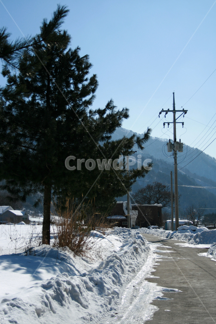 겨울,눈,나무,길,가로등,겨울,계절,winter,season,자연,풍경,nature,landscape,outdoors,옥외